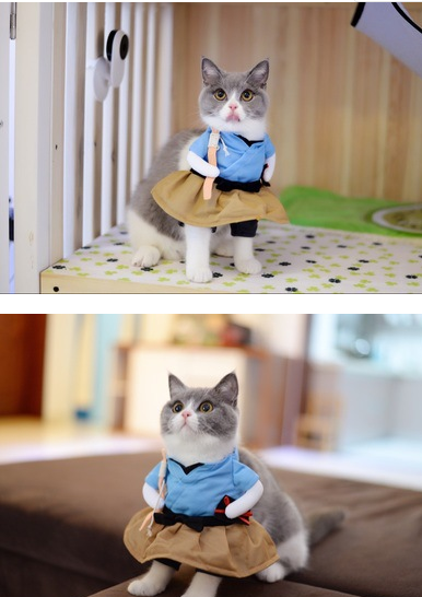 Funny Cat Costume