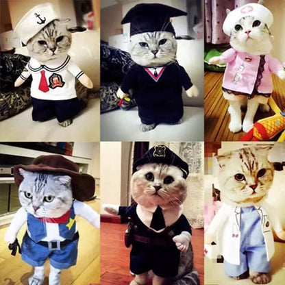 Funny Cat Clothes