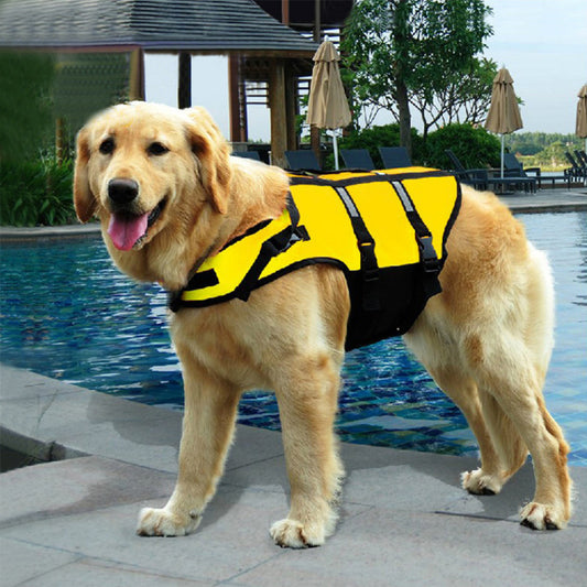 Pet Dog Swimwear