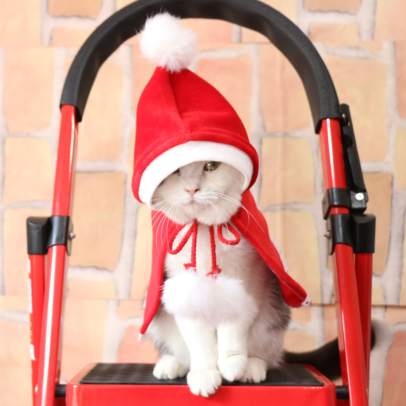 Cat Christmas Clothes