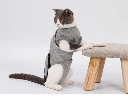 Pet Cat Recovery Clothing