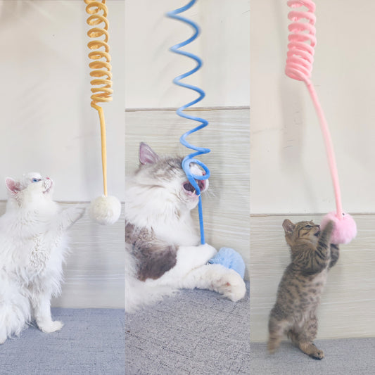 Cat Interactive Toy