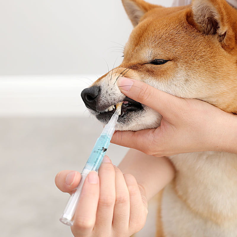 Pet Teeth Cleaning Kit