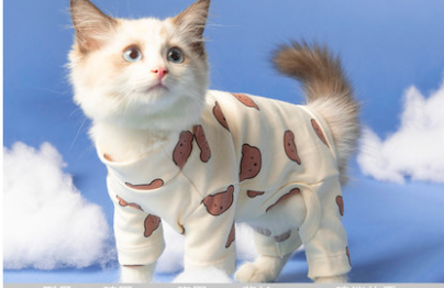 One- Piece Cat Clothes