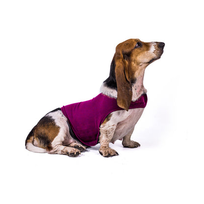 Dog Summer Medical Treatment Vest