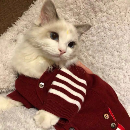 Cat Pet Clothes