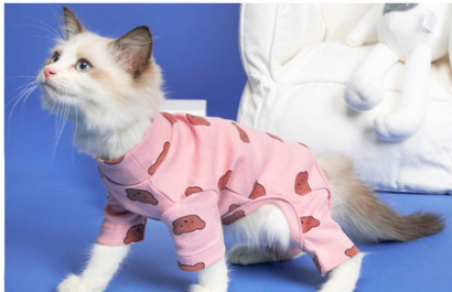 One- Piece Cat Clothes