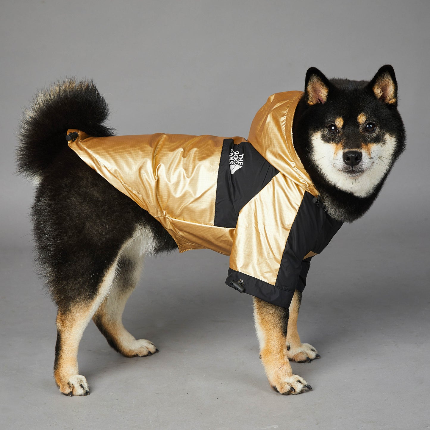 Large Dog Raincoat Jacket