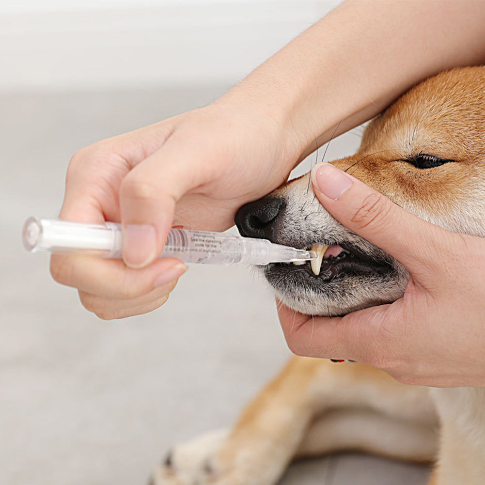 Pet Teeth Cleaning Kit