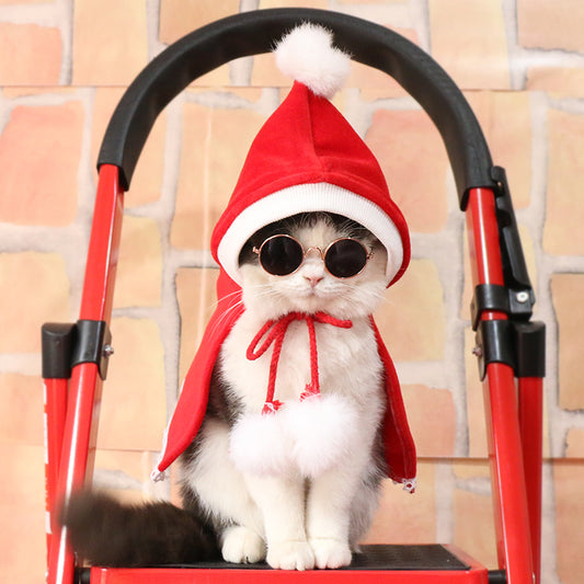 Cat Christmas Clothes