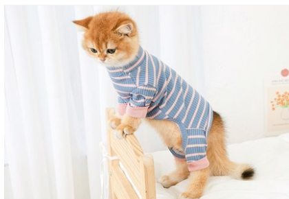 One- Piece Cat Clothes