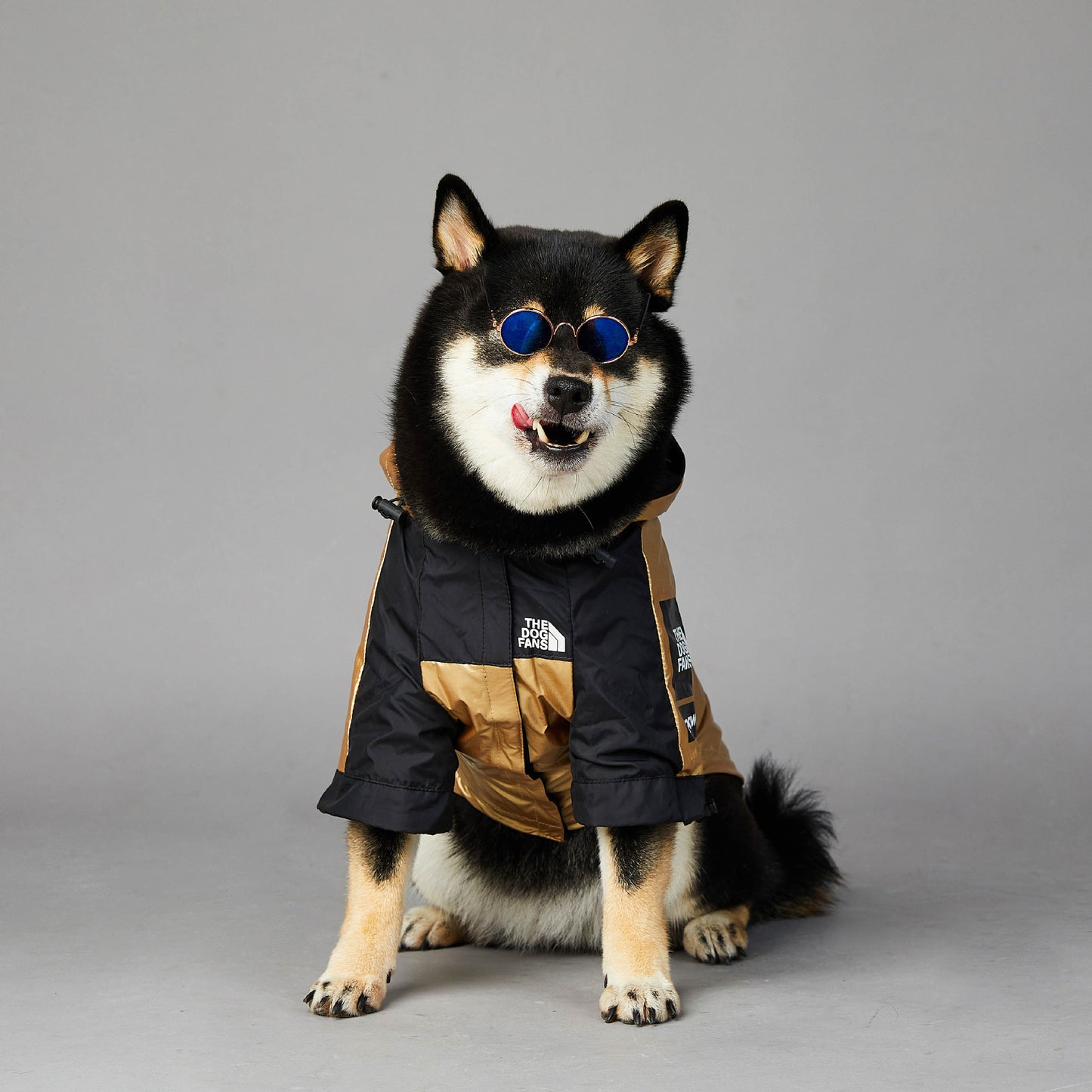 Large Dog Raincoat Jacket