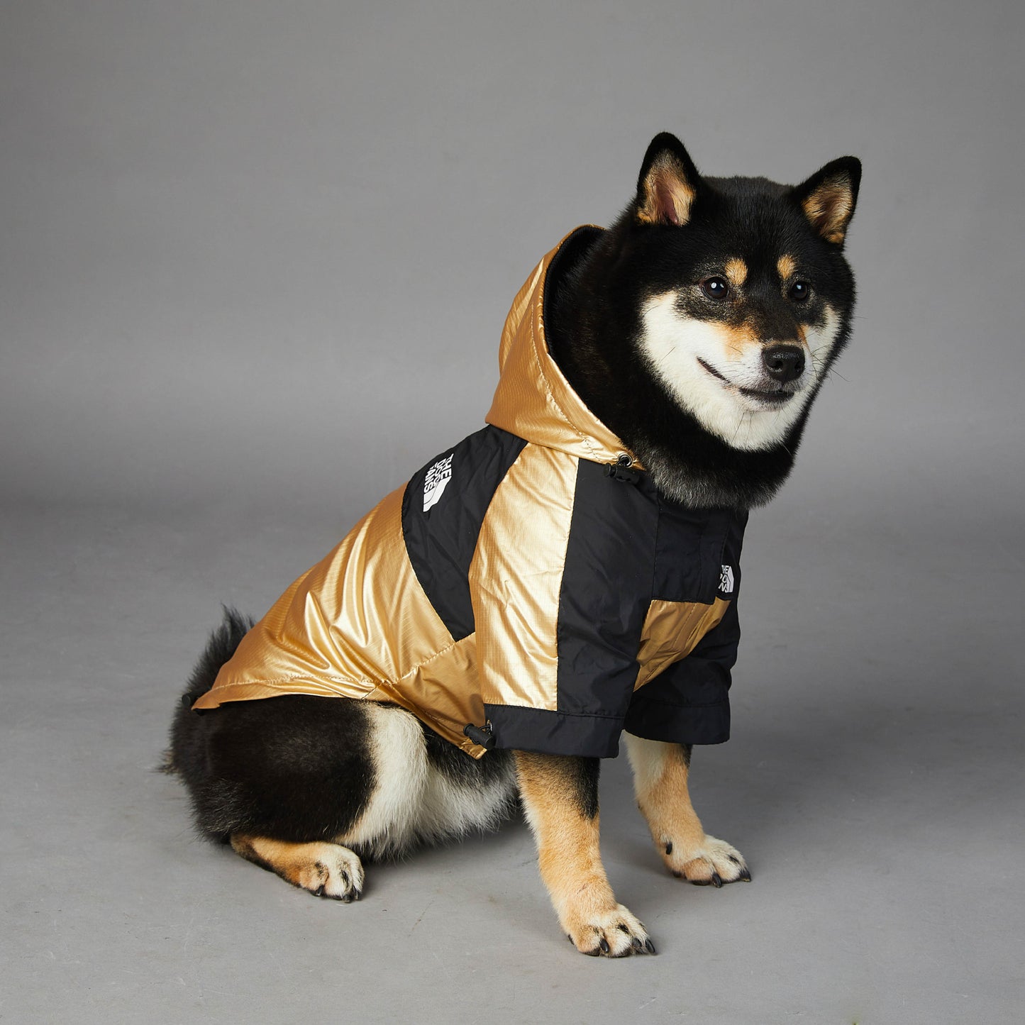 Large Dog Raincoat Jacket