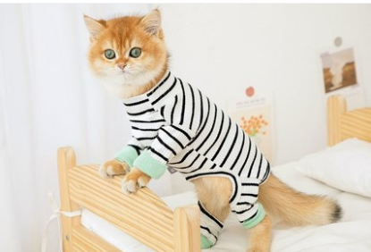 One- Piece Cat Clothes