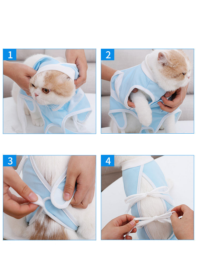 Cat Summer Clothes